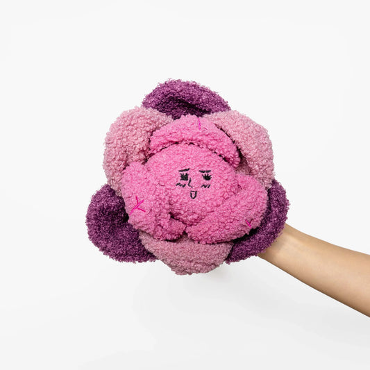 Red Cabbage Nose Work Toy
