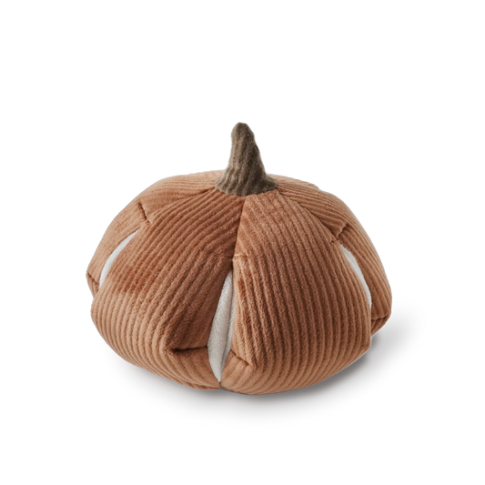 CINDERELLA Pumpkin Dog Toy