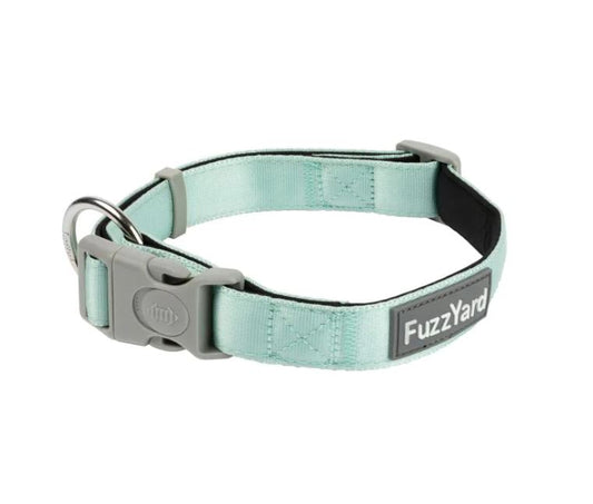 Mint Dog Collar