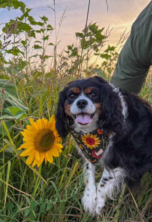 Mushroom Meadows Bandana