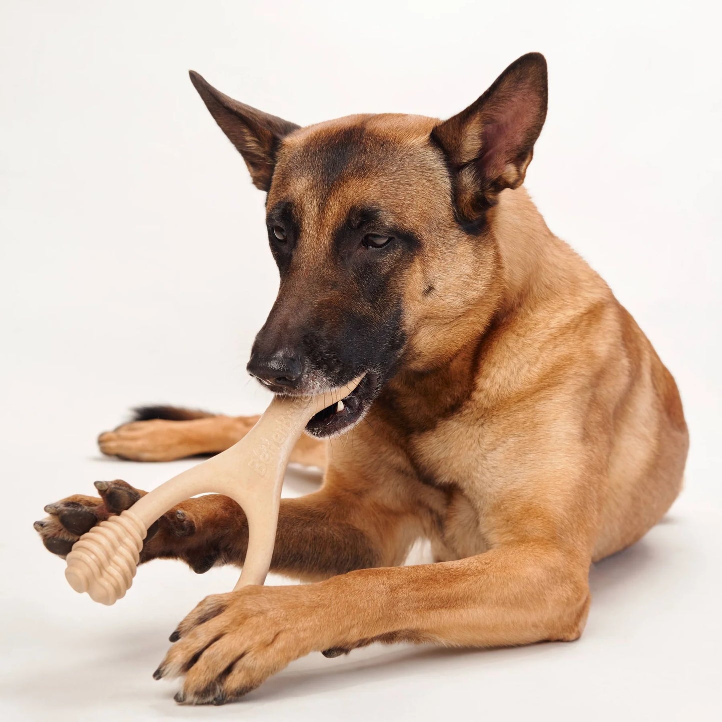 Better Bone - Medium Chewer Beef