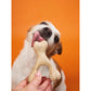 Better Bone - Hard Chewer Beef