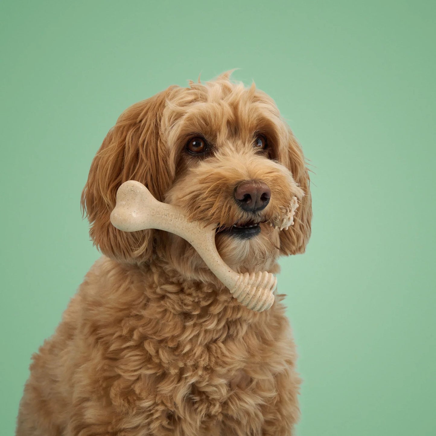 Better Bone - Medium Chewer Beef