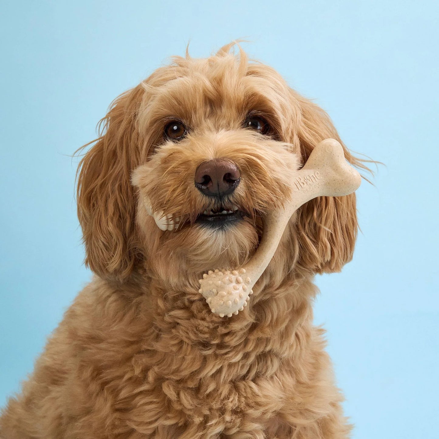 Better Bone - Soft Chewer