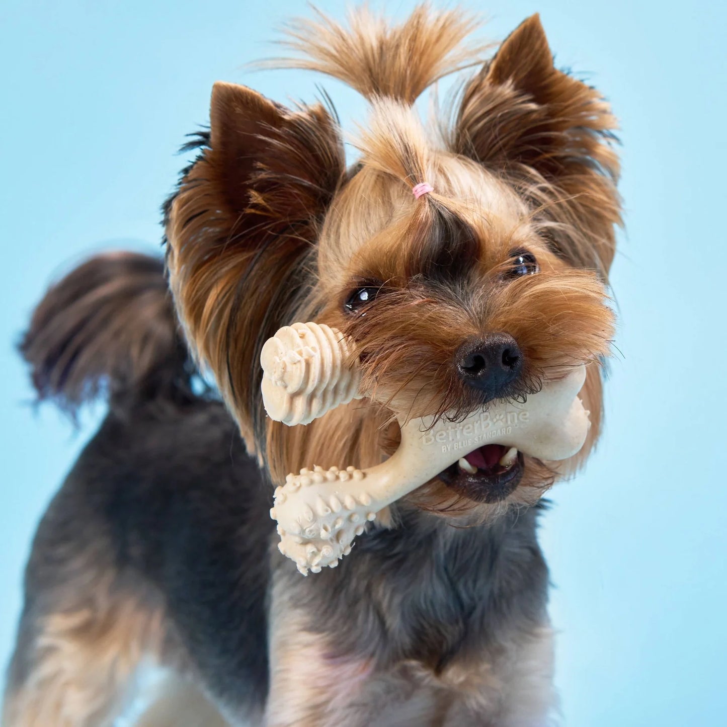 Better Bone - Soft Chewer