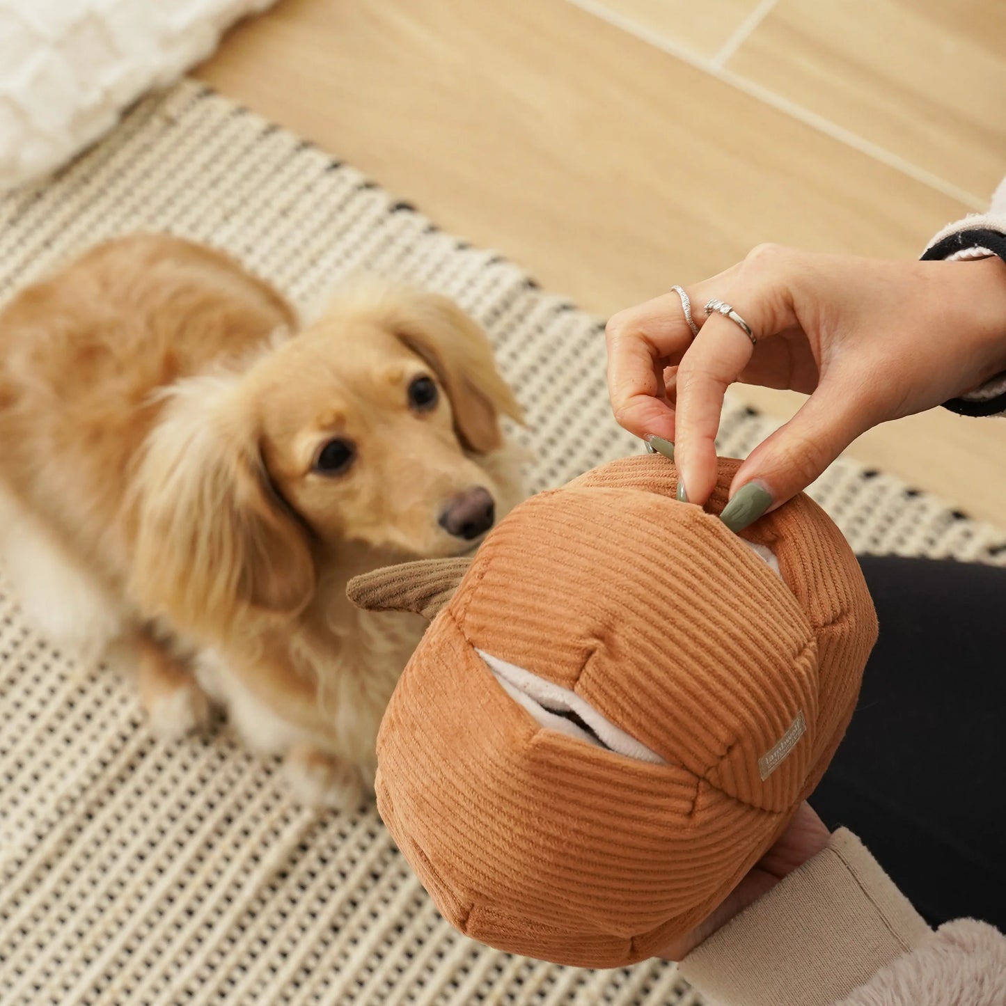 CINDERELLA Pumpkin Dog Toy