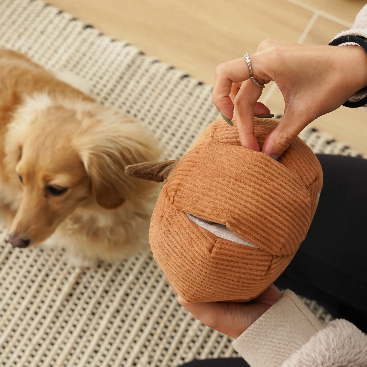 CINDERELLA Pumpkin Dog Toy
