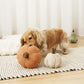 CINDERELLA Pumpkin Dog Toy