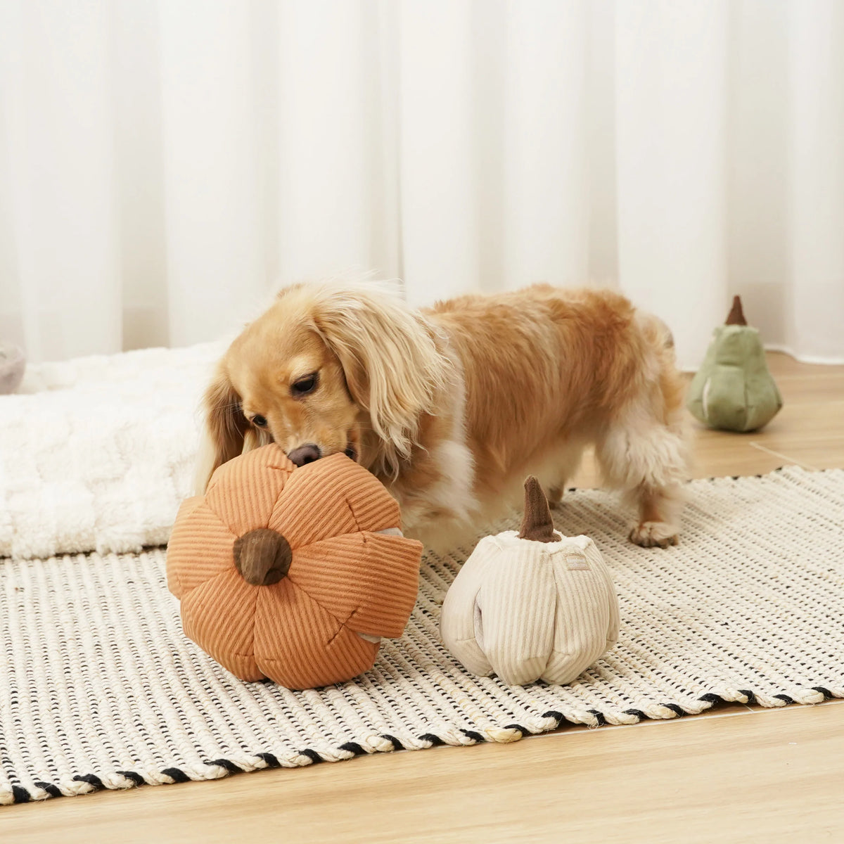 CINDERELLA Pumpkin Dog Toy