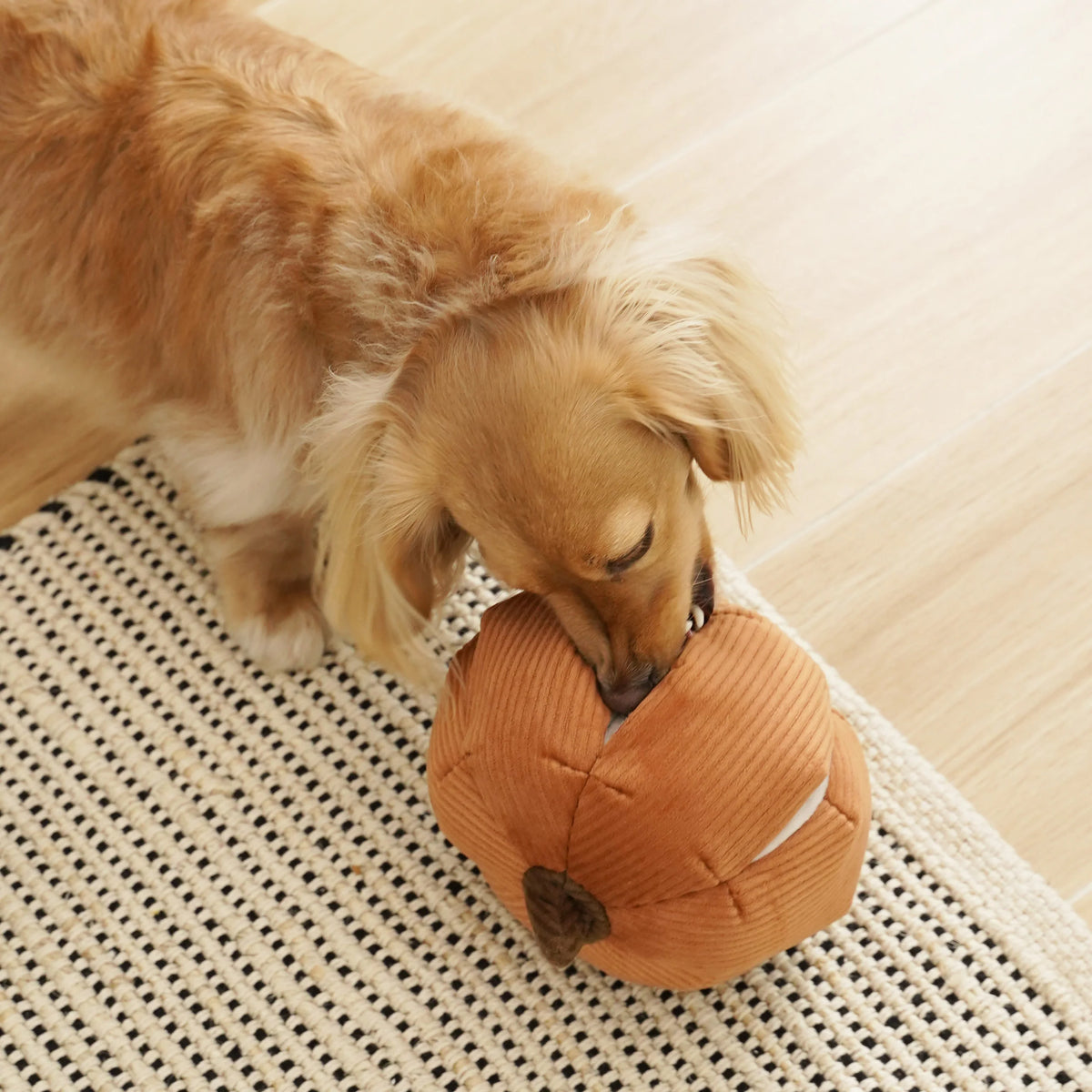 CINDERELLA Pumpkin Dog Toy