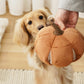 CINDERELLA Pumpkin Dog Toy