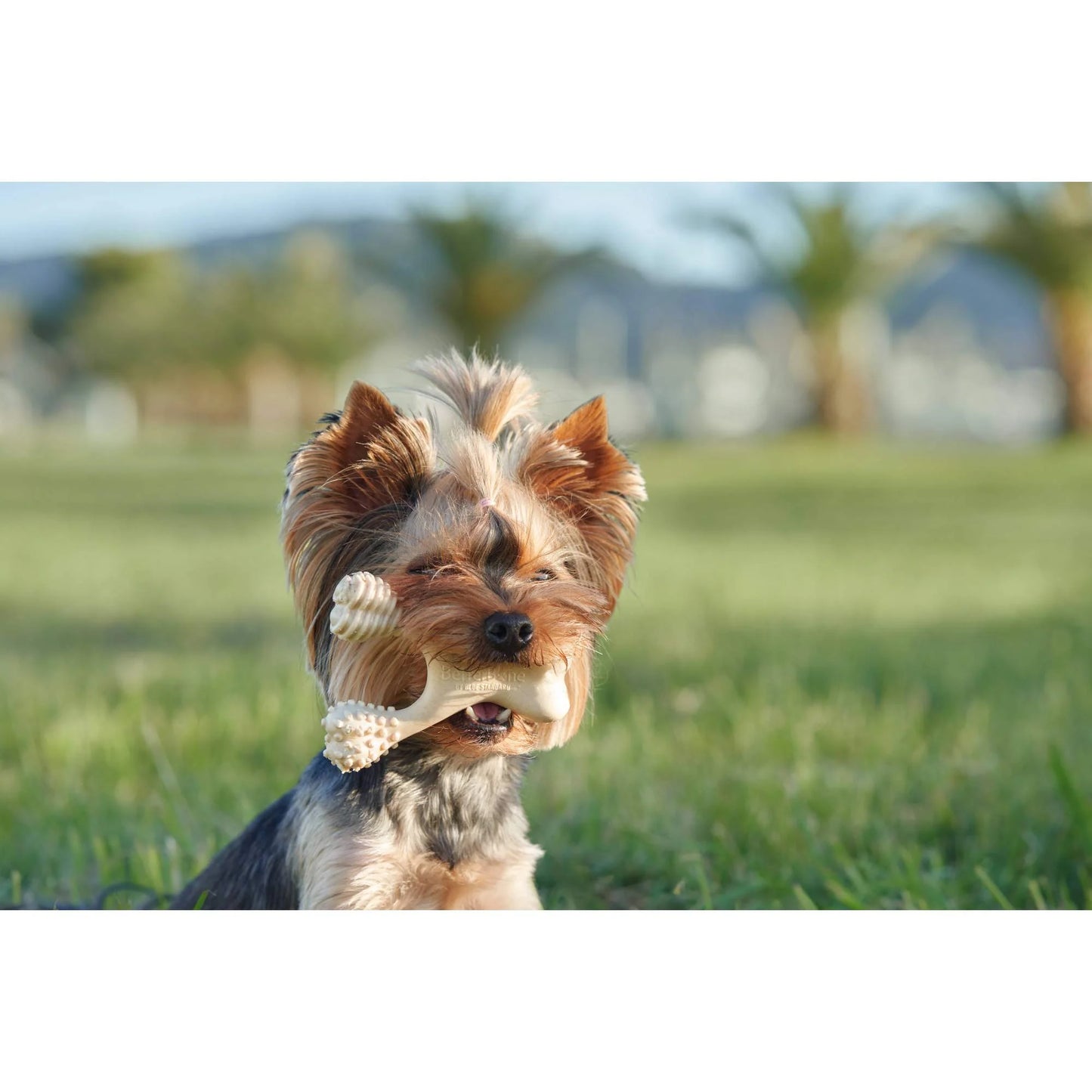 Better Bone - Hard Chewer Beef