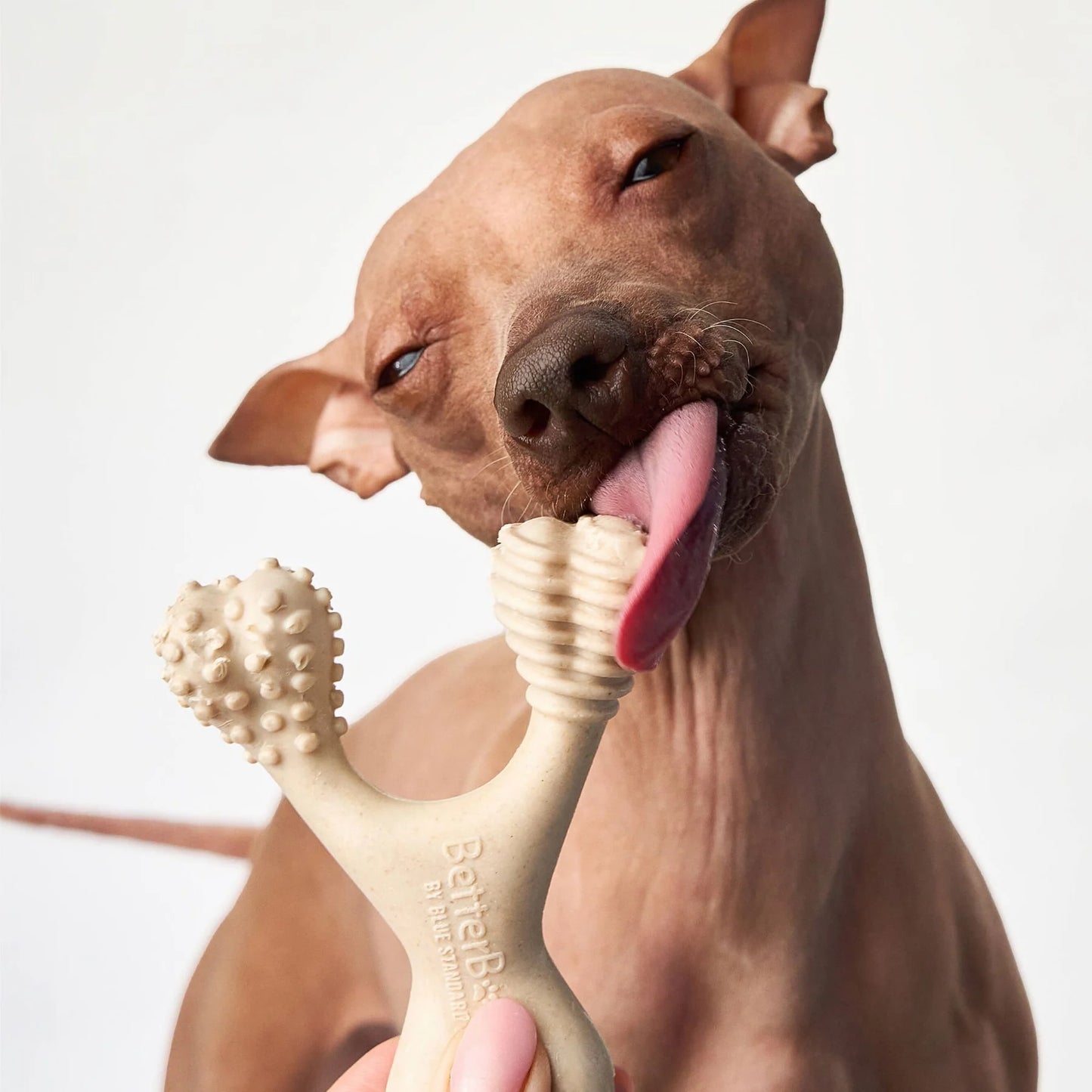 Better Bone - Medium Chewer Beef