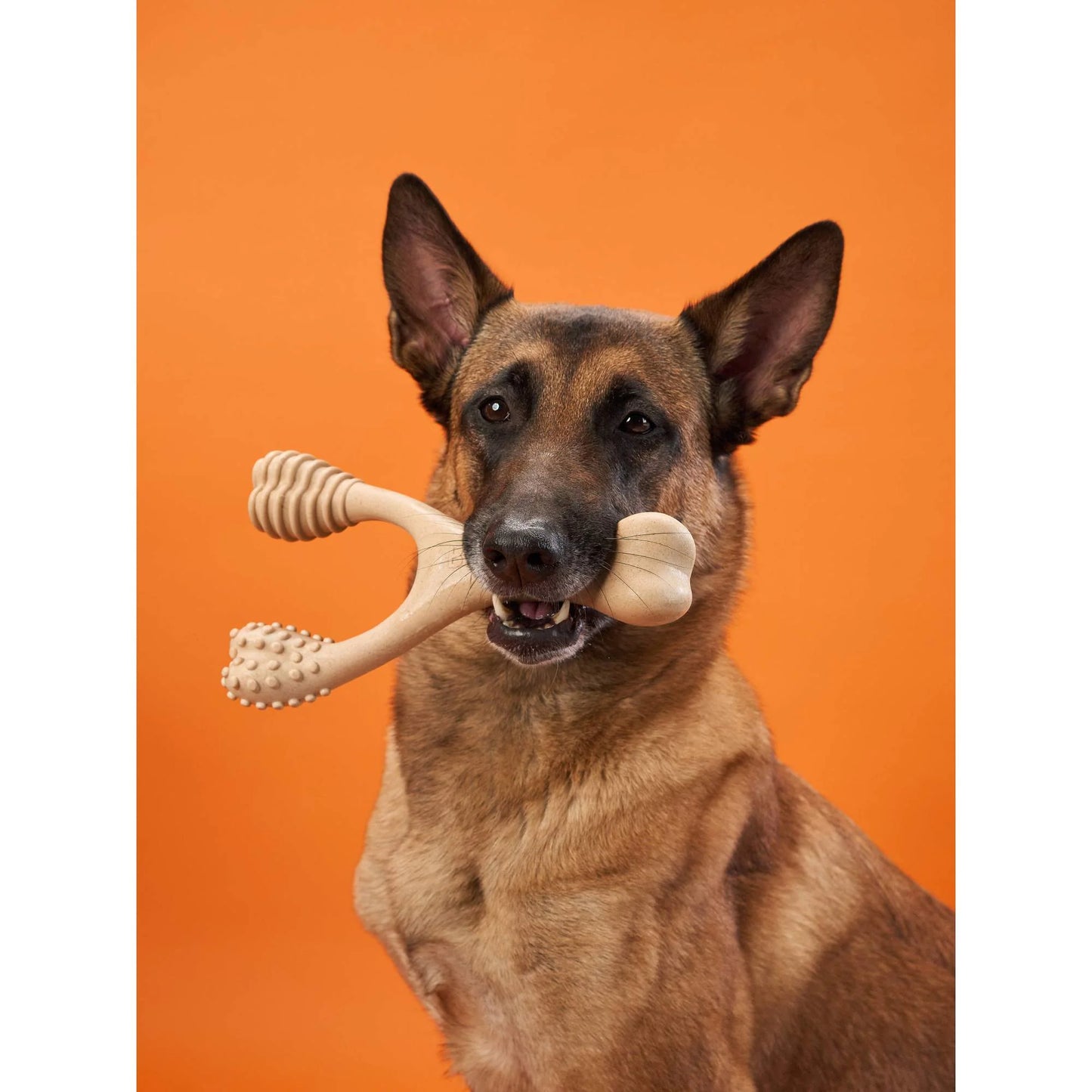 Better Bone - Hard Chewer Beef