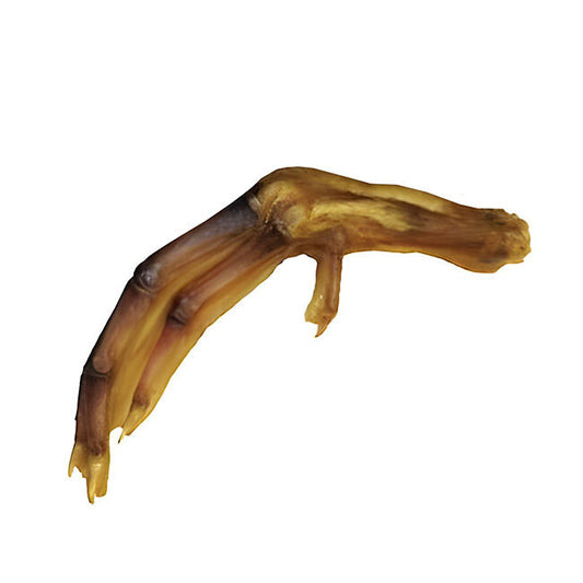 Duck Feet