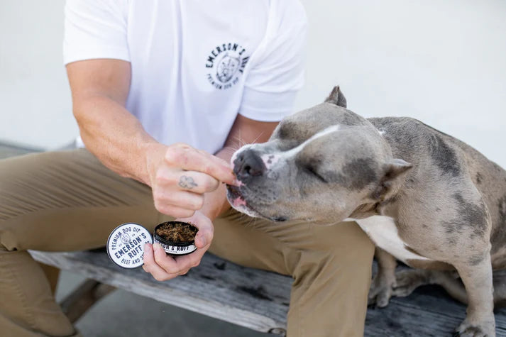 Premium Dog Dip - BEEF & SHROOMS