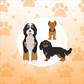 Additional Dog Add-On