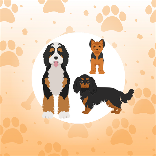 Additional Dog Add-On