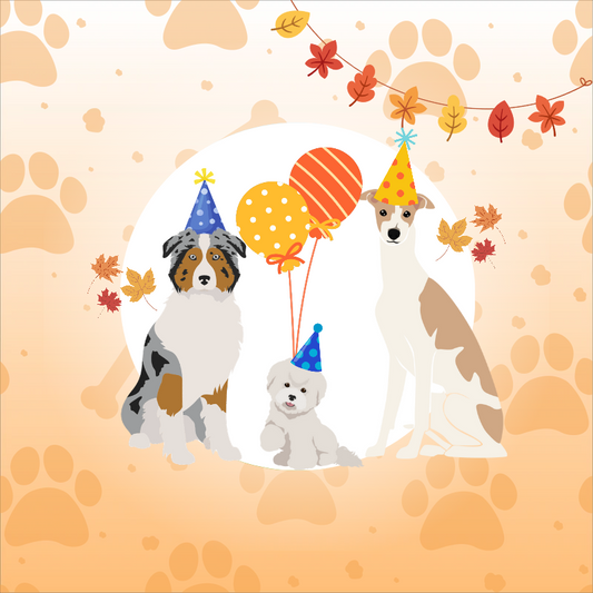 Fall Pawty Bundle - Event Ticket