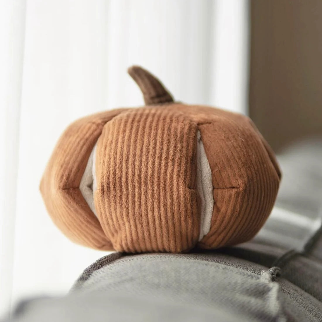CINDERELLA Pumpkin Dog Toy