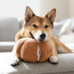 CINDERELLA Pumpkin Dog Toy