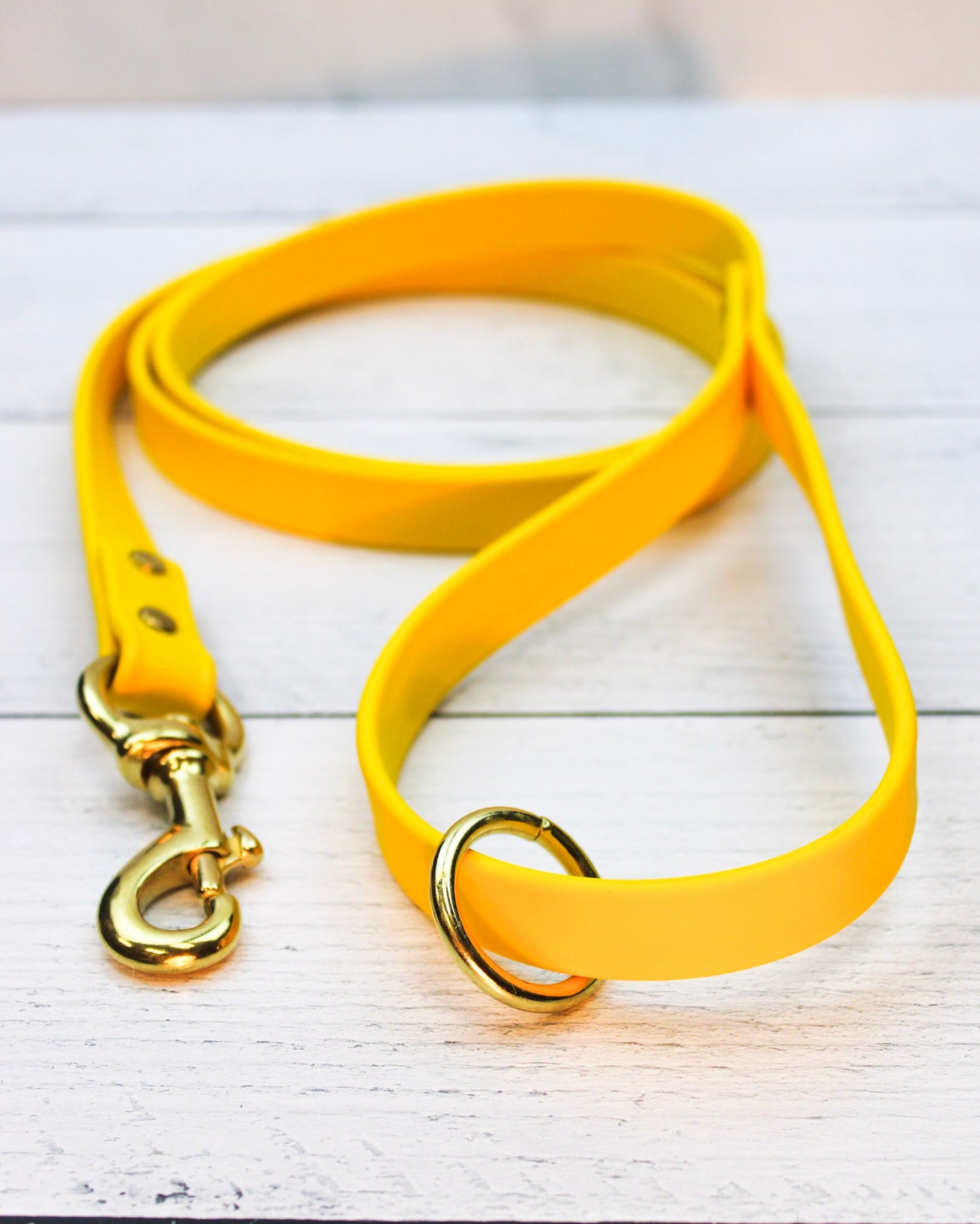 Lemon Drop Biothane Leash