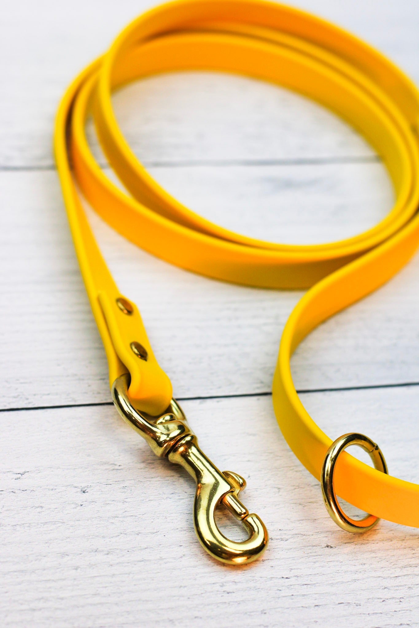 Lemon Drop Biothane Leash