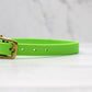 Key Lime Biothane Collar