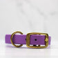 Taro Tango Biothane Collar