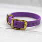 Taro Tango Biothane Collar