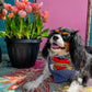 Momma’s Girl/Boy Bandana