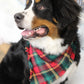 Plaid Tidings Bandana
