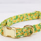 Daffodil Meadow Collar