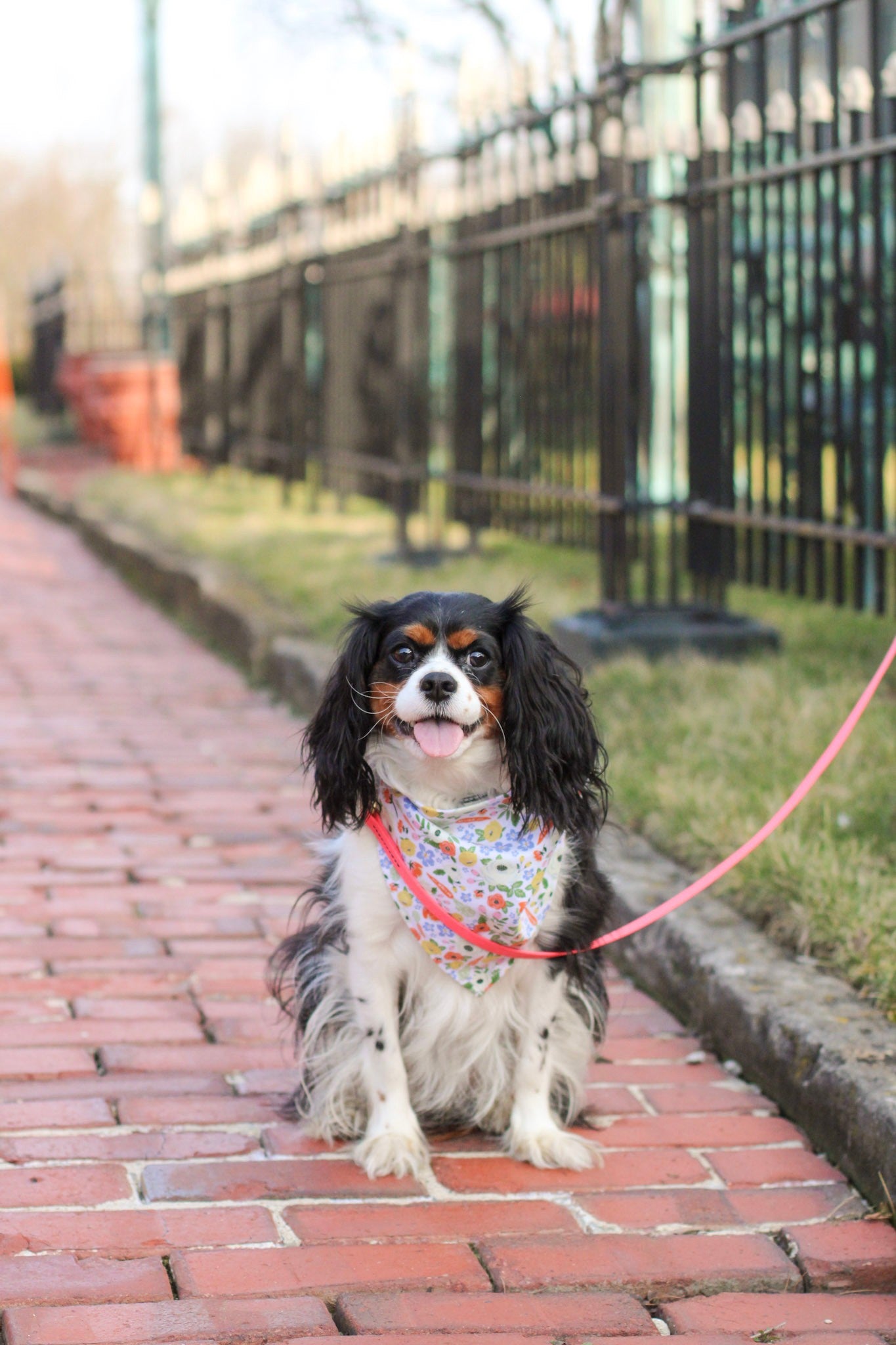 Carrot Blooms Bandana
