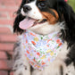 Carrot Blooms Bandana