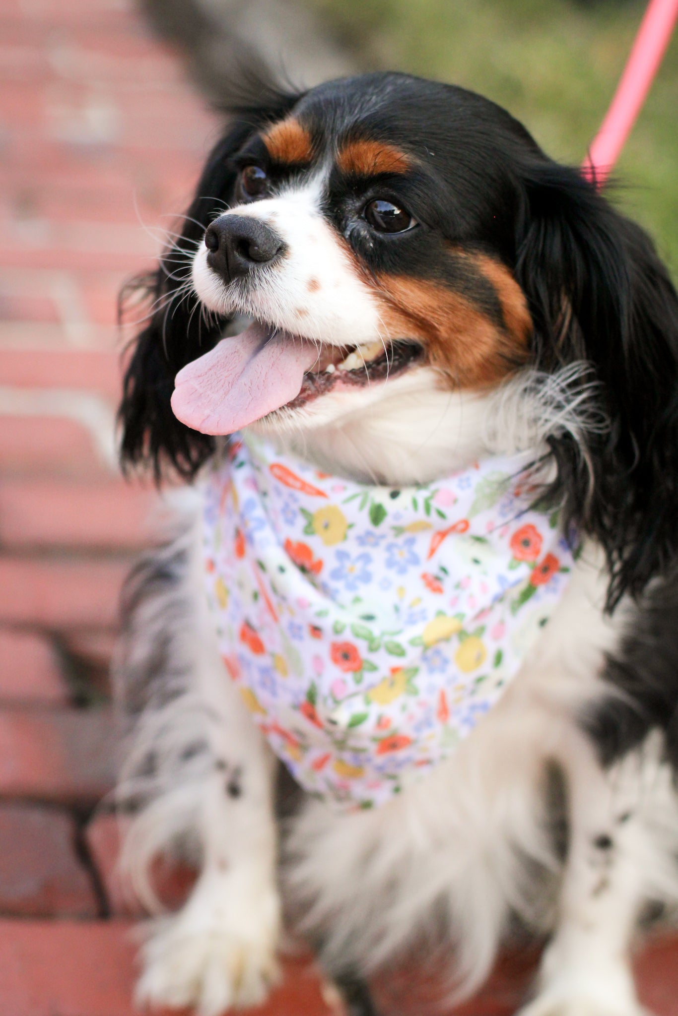 Carrot Blooms Bandana