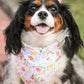 Carrot Blooms Bandana