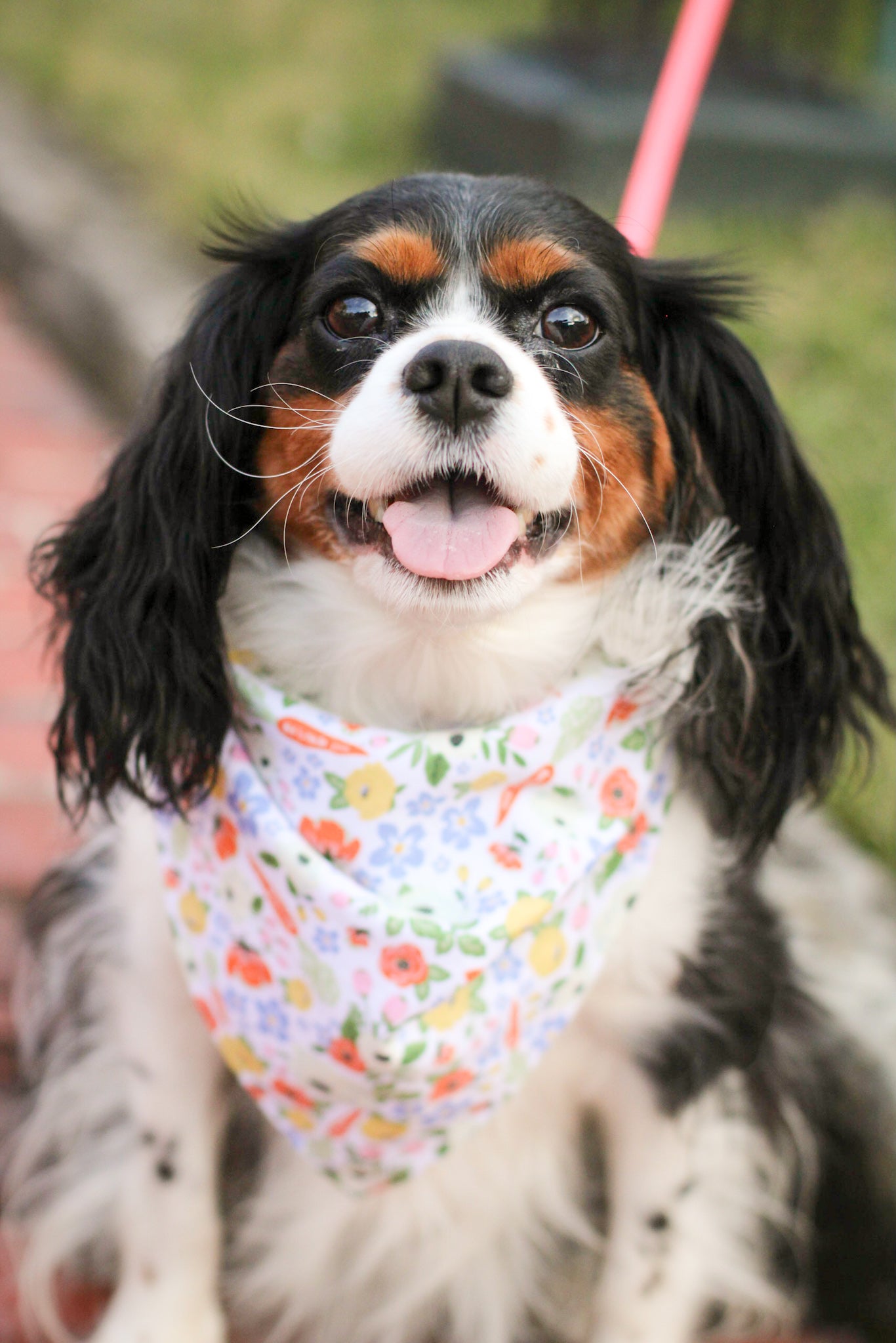 Carrot Blooms Bandana