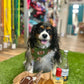 Puppy Bowl Snack Pack