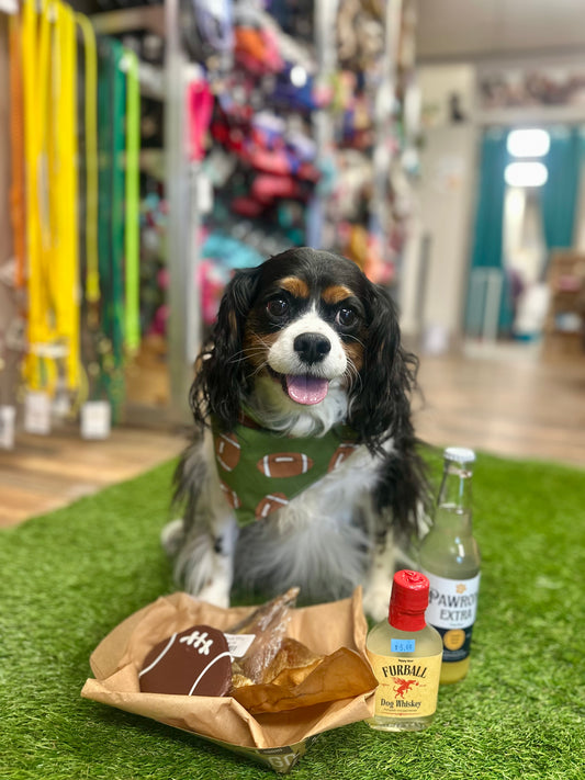 Puppy Bowl Snack Pack