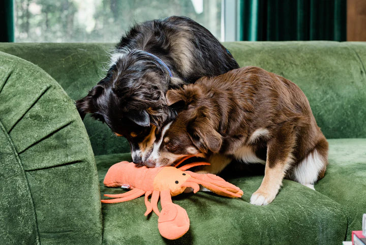Lobster Snuffle Toy