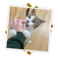 Meowjuana Crunchie Munchie Seafood Medley Cat Treat