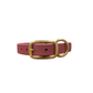 Maroon Waterproof Biothane Collar