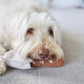 Baguette Dog Toy