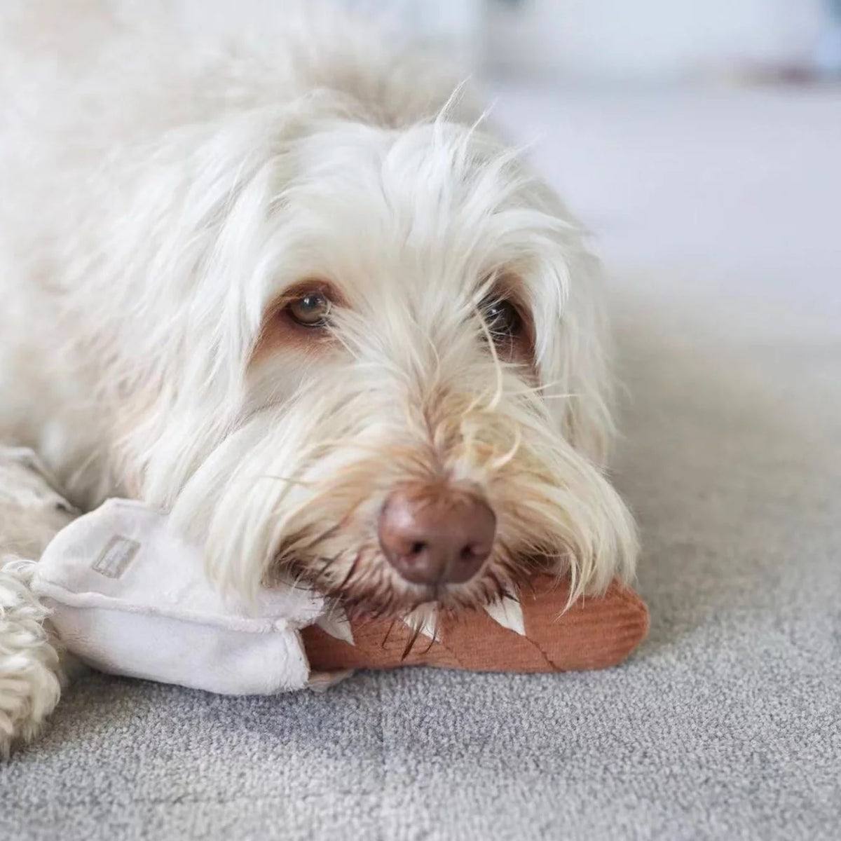 Baguette Dog Toy