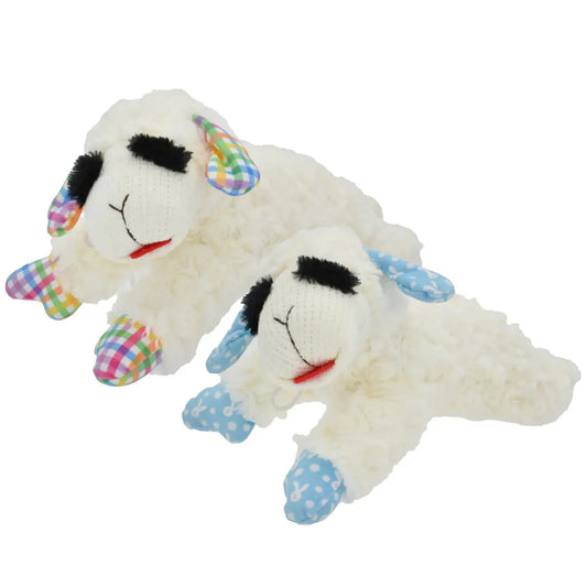 Spring Lamb Chop