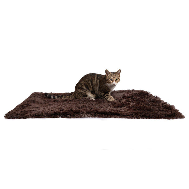 Pet Throw Blanket in Shag Fur