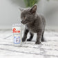 Purrs Light Cat Toy
