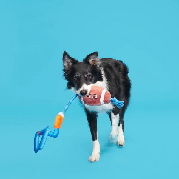 The Whole Canine Yards