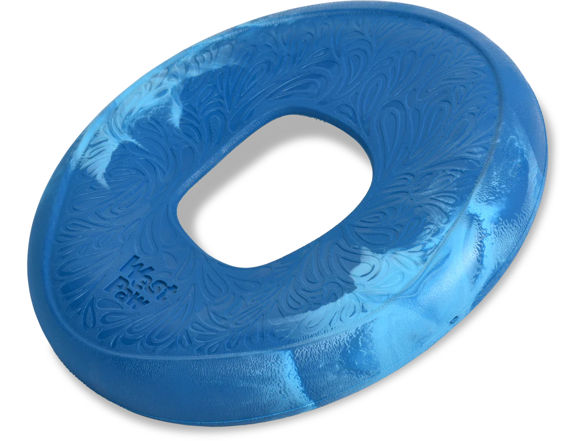 Sailz Frisbee